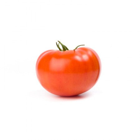 TOMATE KIVU 1000 SEEDS