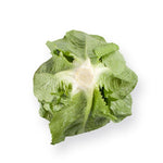 LECHUGA MAXIMUS 1000 SEEDS
