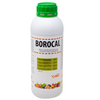 BOROCAL LITRO