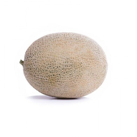 MELON CARIBBEAN KING 1000 SEEDS