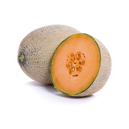 MELON CARIBBEAN KING 5000 SEEDS