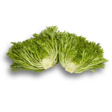 LECHUGA EXCITE 5000 SEEDS