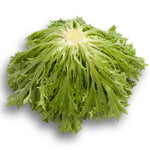 LECHUGA EXCITE 5000 SEEDS