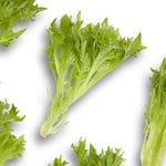 LECHUGA EXCITE 5000 SEEDS