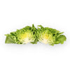 LECHUGA FLANDRIA 5000 SEEDS