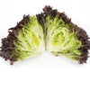 LECHUGA HAFLEX 5000 SEEDS