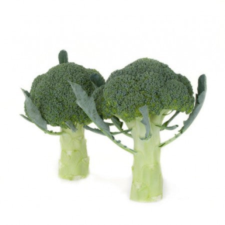 BROCOLI IZABAL 2500 SEEDS