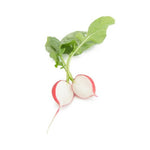 RABANITO MONDIAL 25,000 SEEDS