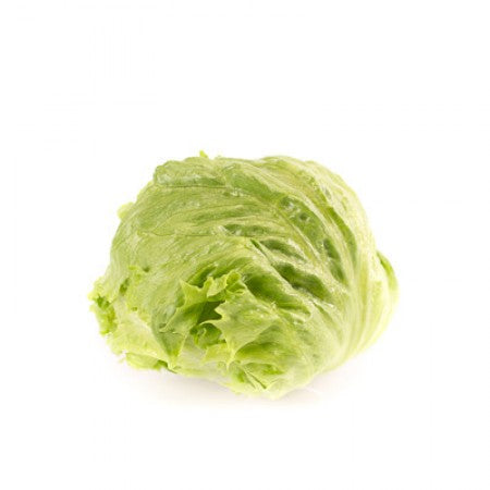 LECHUGA NOMUGI 5000 SEEDS